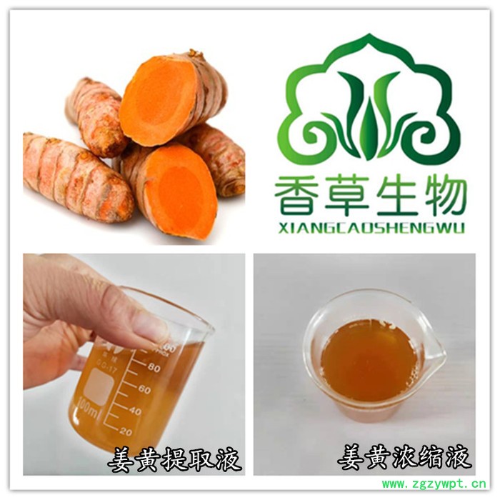 香草生物供应 姜黄提取物 姜黄素95% 着色剂 姜黄粉图6