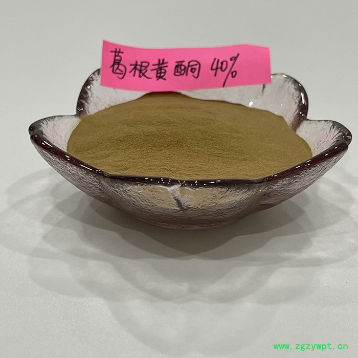 金萃坊厂家现货供应  葛根提取物黄酮40%  葛根黄酮40% 葛根提取物黄酮图3