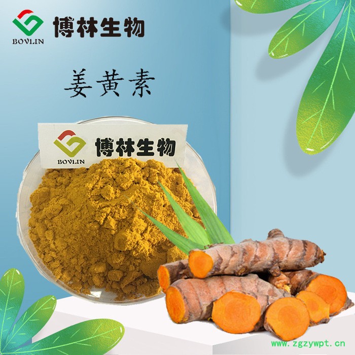 姜黄素10% 姜黄提取物 姜黄粉 博林生物图2