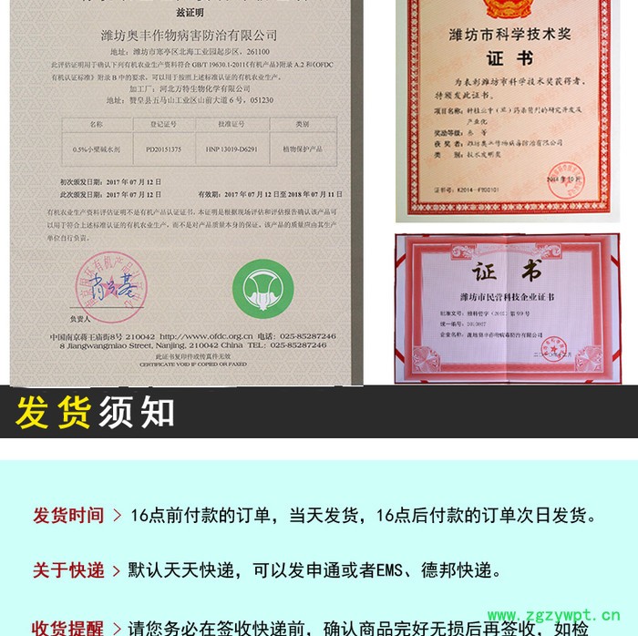 生姜黄枯叶的原因及防治方法 姜瘟净图5