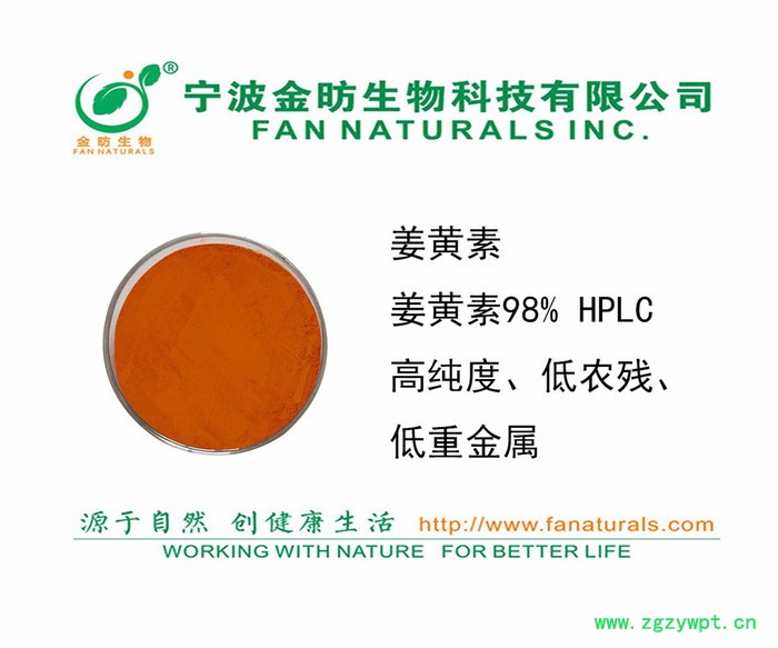 姜黄素、姜黄提取物（CURCUMIN）植物原药材图2