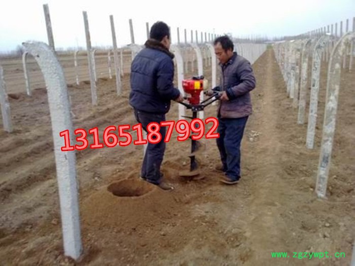 大功率挖洞机,富兴园林配套四冲程钻坑机  西洋参种植用电线杆挖坑机价格图6