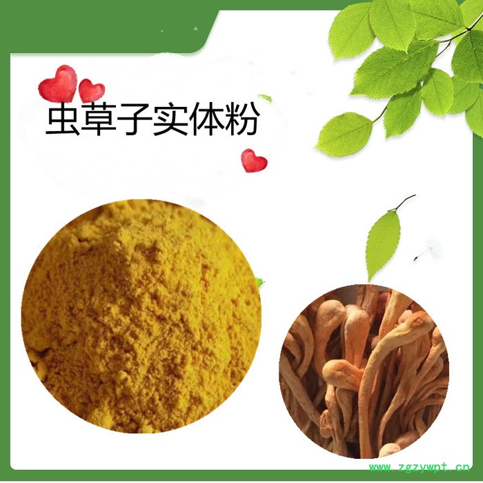 姜黄提取物   水溶   可定制   斯诺特生物图4