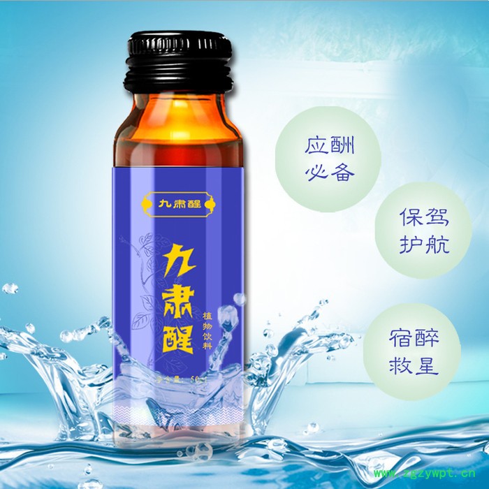 解酒口服液代加工 解酒饮料产品代加工 葛根姜黄饮料oem生产厂家图3