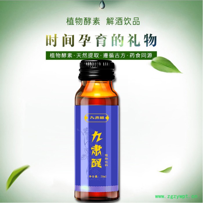 解酒口服液代加工 解酒饮料产品代加工 葛根姜黄饮料oem生产厂家图5