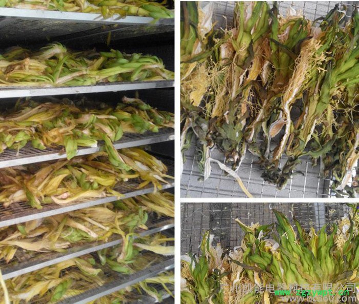 供应人参鹿茸热泵烘干机 红参烘干机 西洋参烘干机 中药材烘干机 热泵烘干机图3