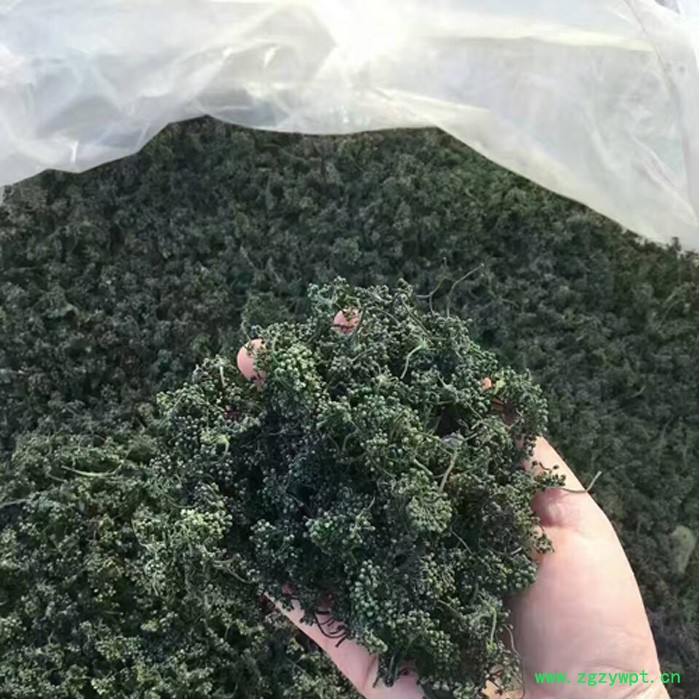 东北长白山特产花旗参西洋参片养生茶人参花茶煲汤泡酒料滋补养生包邮20g/颗图2