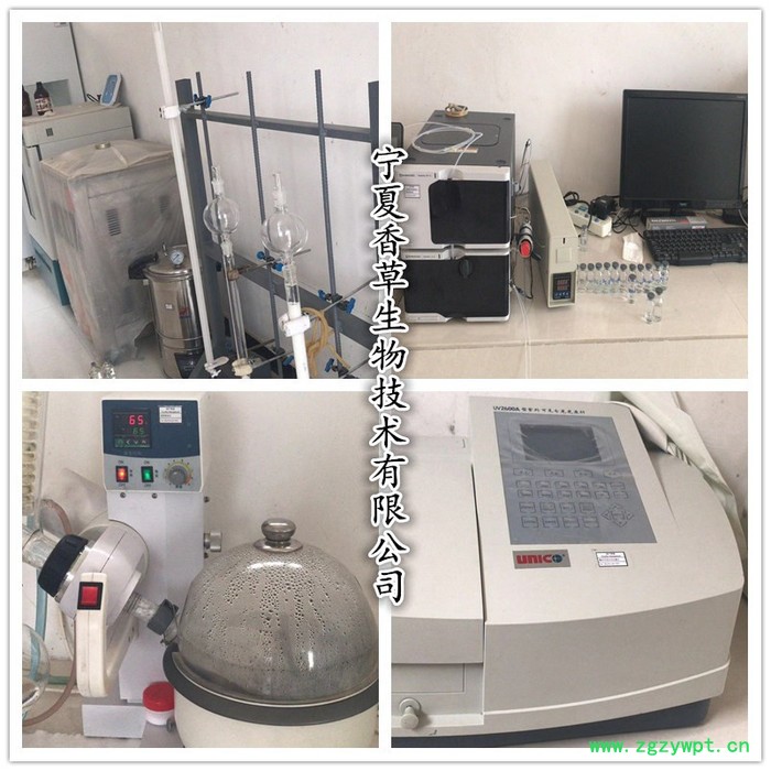 葛根粉厂家 葛根异黄酮 即食葛根熟粉200目低温烘焙 葛根膨化粉供应葛根速溶粉 葛根提取物图7