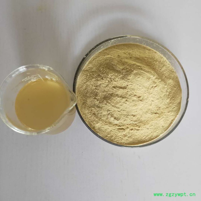 葛根粉厂家 葛根异黄酮 即食葛根熟粉200目低温烘焙 葛根膨化粉供应葛根速溶粉 葛根提取物图4