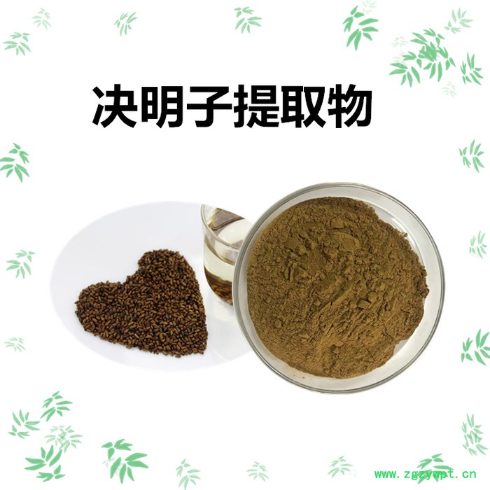 扶风斯诺特 姜黄提取物 10:1姜黄速溶粉 姜黄浸膏粉图3