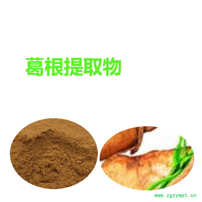 甘肃斯诺特 葛根提取物  量大从优 葛根粉图4