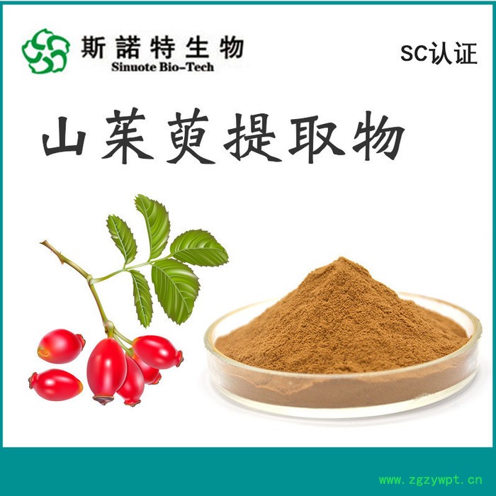 斯诺特生物 葛根提取物 葛根粉 喷雾干燥 速溶食品原料图8