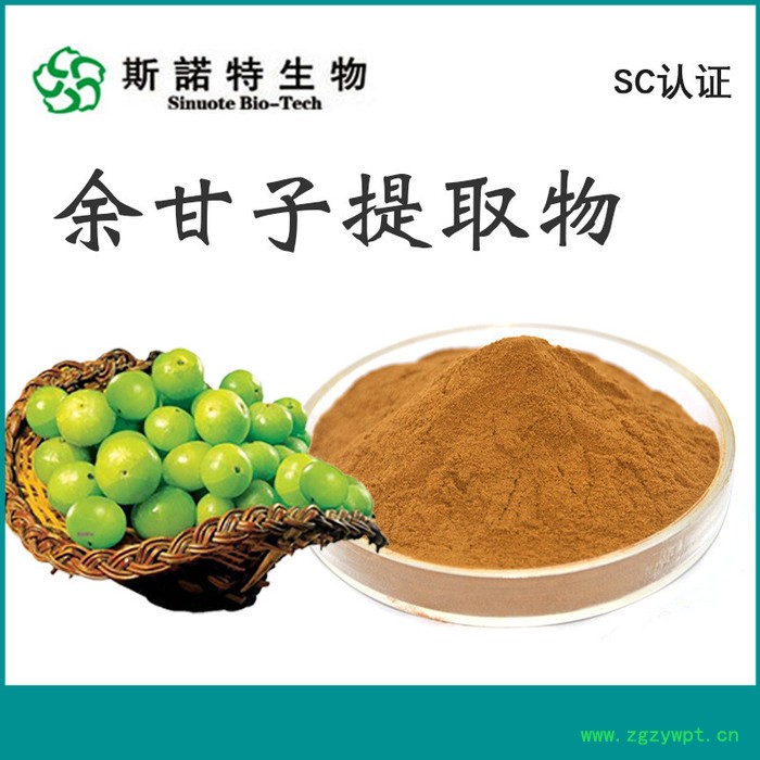 斯诺特生物 葛根提取物 葛根粉 喷雾干燥 速溶食品原料图5