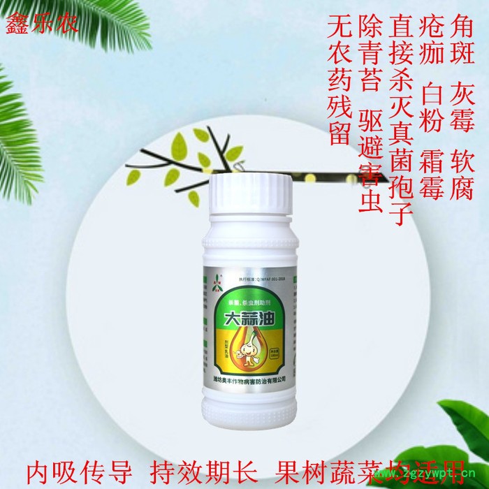 生姜黄/枯叶的原因及防治方法 杀菌剂混剂图2