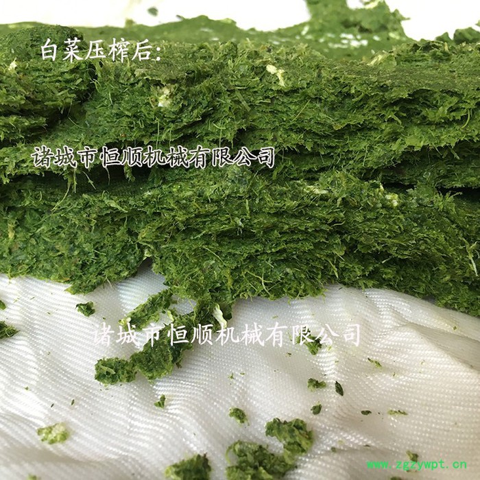 西洋参、藏红花、黄芪中药粉挤压过滤设备 香椿、腌制后香椿脱水压榨机图4