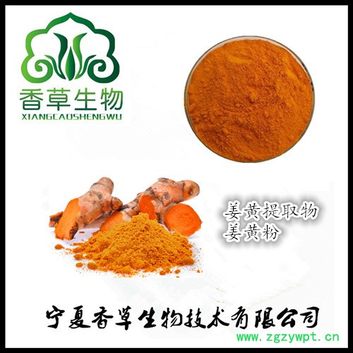 姜黄粉80-120目 供应姜黄纯粉  水溶型姜黄粉现货图2