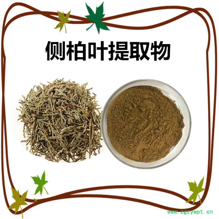 扶风斯诺特生产 姜黄提取物  姜黄浓缩粉  可定制生产图3