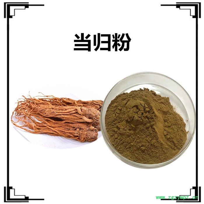 扶风斯诺特生产 姜黄提取物  姜黄浓缩粉  可定制生产图5