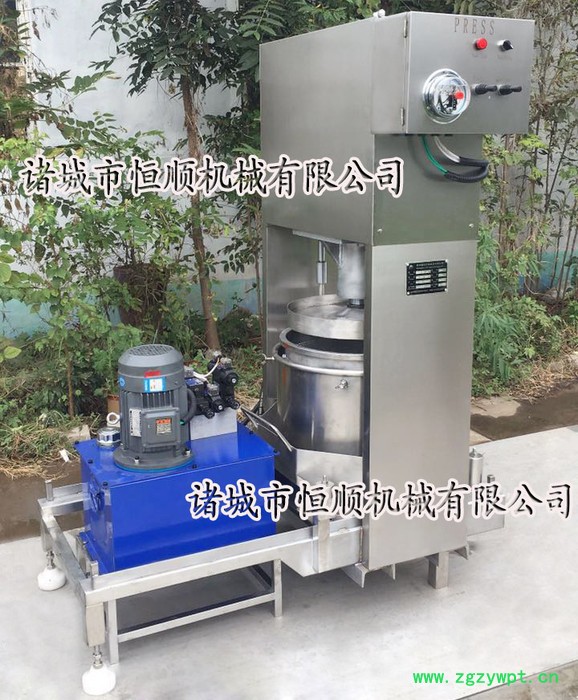 姜泥、蒜泥、姜黄榨汁机 芹菜、胡萝卜、西红柿液压榨汁机 玫瑰榨汁机图2