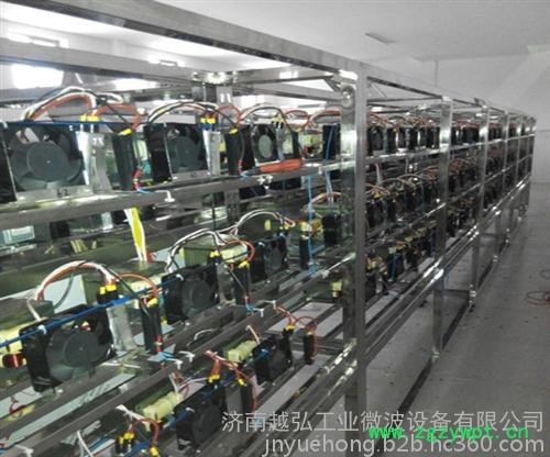 越弘葛根粉微波杀菌设备图3