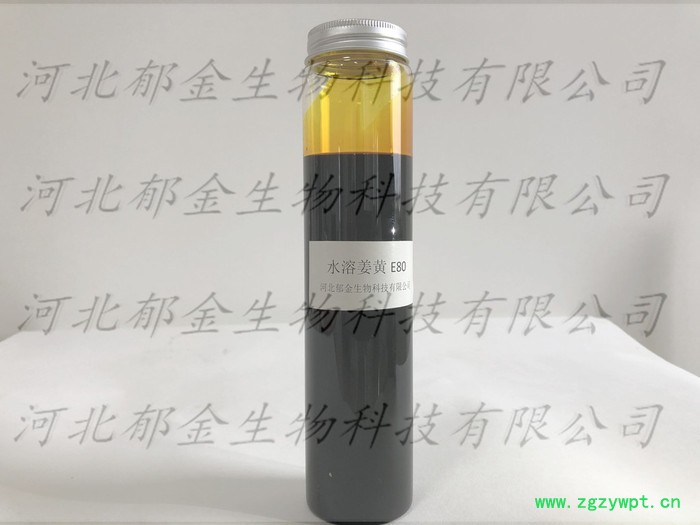 水溶姜黄 天然植物色素 工厂直销可量身定做图4