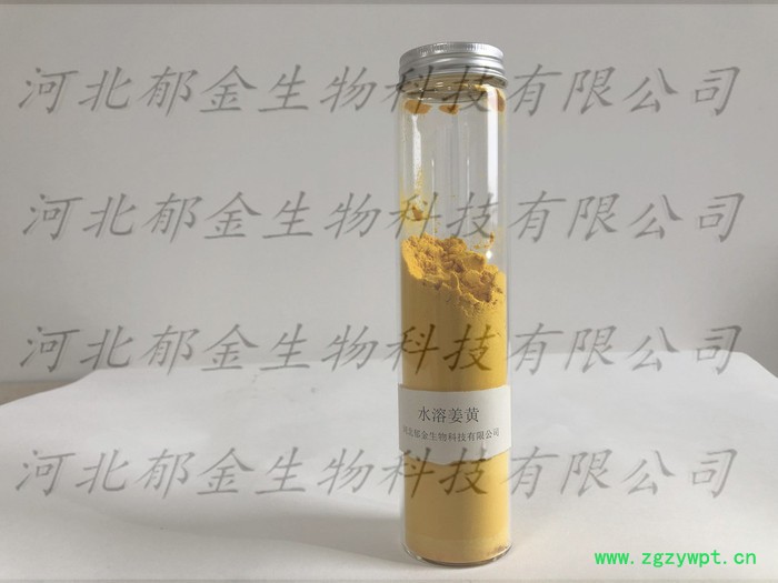 水溶姜黄 天然植物色素 工厂直销可量身定做图3