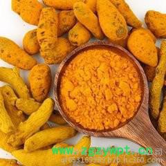 青润生物  印度进口 姜黄提取物  姜黄素  含量95%   包邮