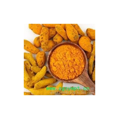 青润生物  印度进口 姜黄提取物  姜黄素  含量95%   包邮