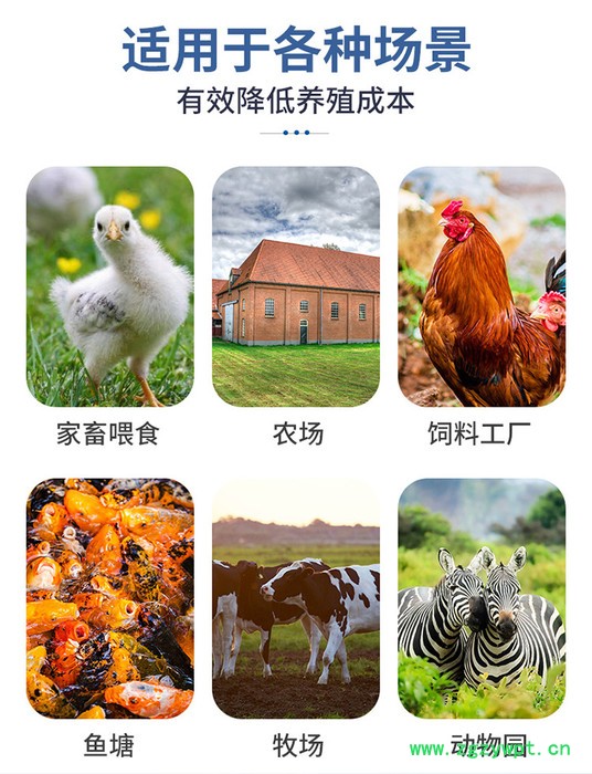 板蓝根葛根粉制粒机 家禽养殖鸡鸭牛羊颗粒机谷类豆类颗粒机 葛根颗粒机图8