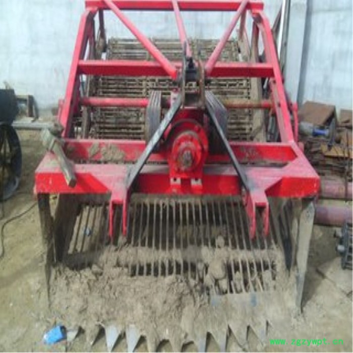 安徽晃筛式药材收获机制造商 天南星挖掘机生产厂家 西洋参挖掘机型号齐全图2