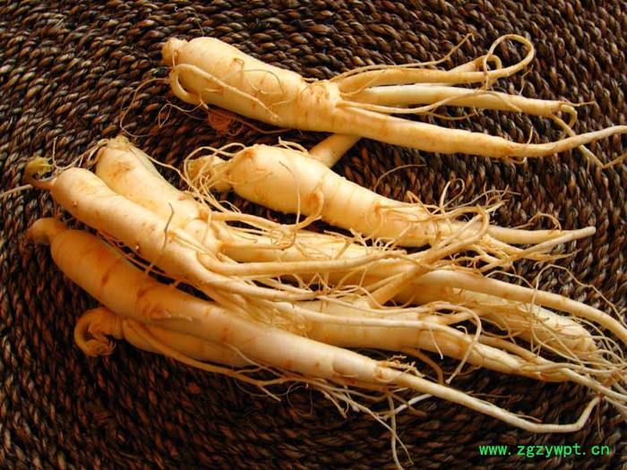 供应25％西洋参提取物图3