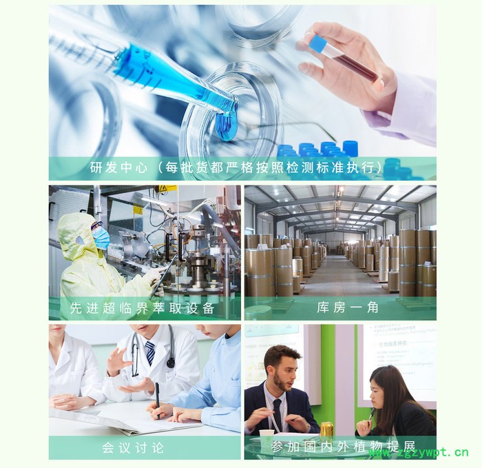 斯诺特生物  姜黄提取物  水溶性姜黄粉  Curcuma longa L. extract图8