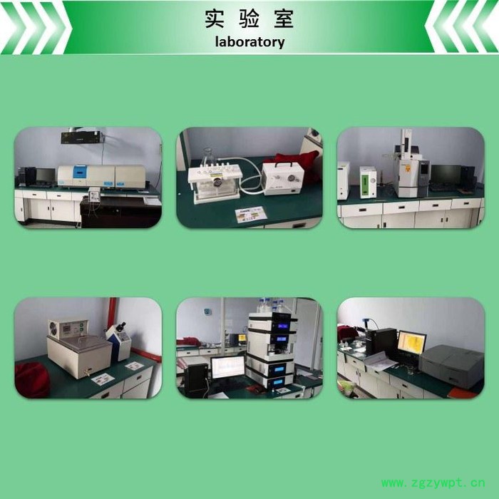 斯诺特生物  姜黄提取物  水溶性姜黄粉  Curcuma longa L. extract图4