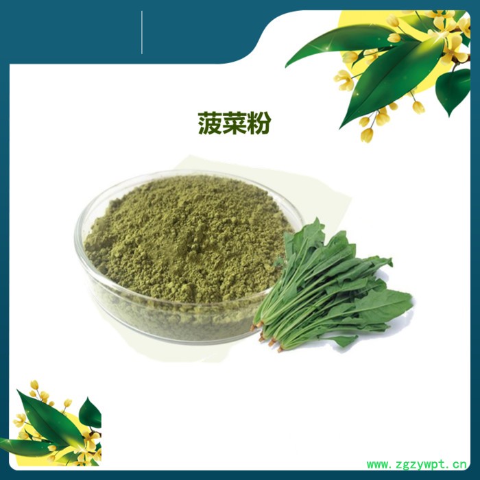 斯诺特 葛根粉价格 速溶葛根粉 甘葛浓缩粉水溶 喷雾干燥粉图2
