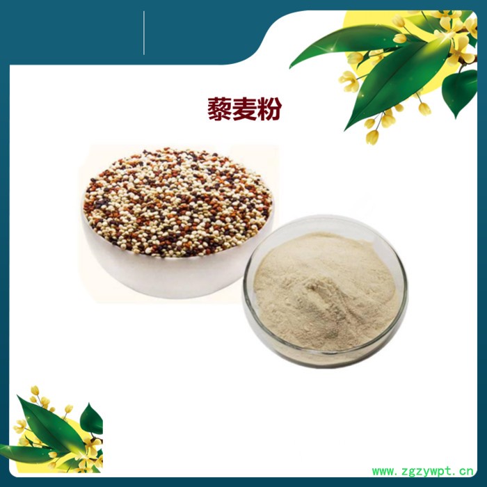 斯诺特 葛根粉价格 速溶葛根粉 甘葛浓缩粉水溶 喷雾干燥粉图7