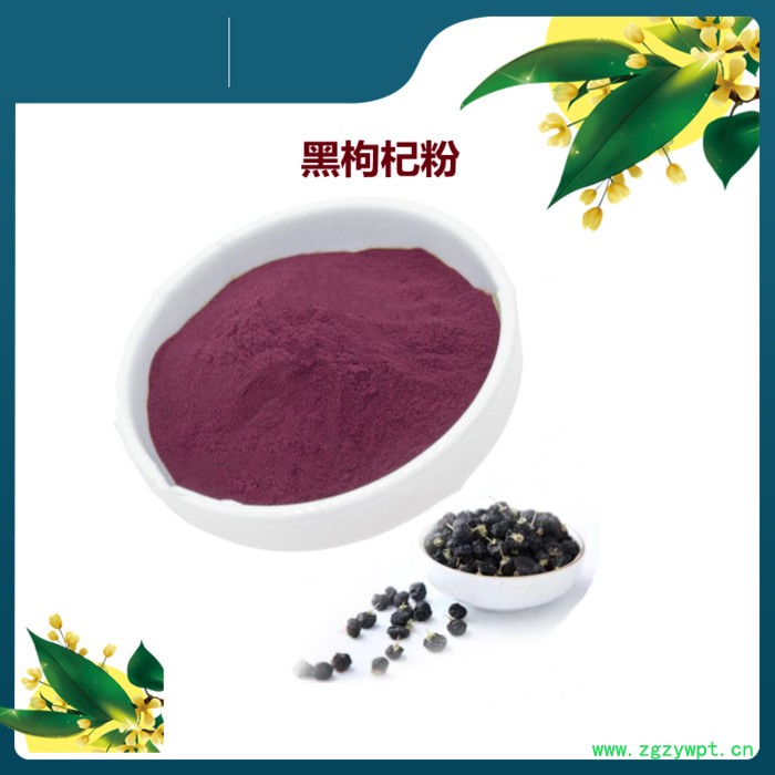 斯诺特 葛根粉价格 速溶葛根粉 甘葛浓缩粉水溶 喷雾干燥粉图3