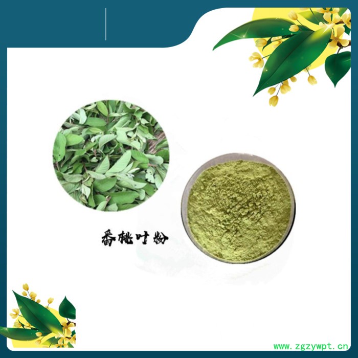 斯诺特 葛根粉价格 速溶葛根粉 甘葛浓缩粉水溶 喷雾干燥粉图4