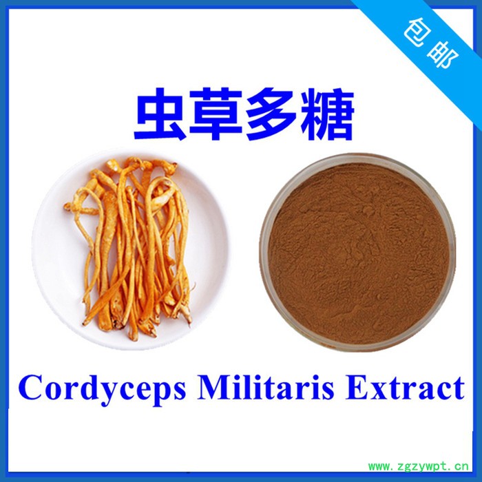 厂家销售 水溶性葛根素30% 葛根提取物 1kg起售 带检测报告图3