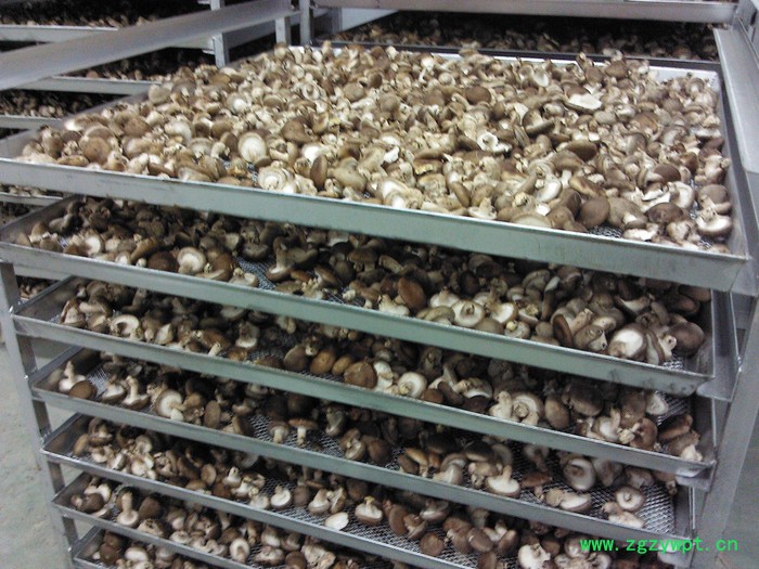 脱水葛根烘干机 空气能热泵烘葛根烘干机 **葛根烘干机 葛根烘干机图6