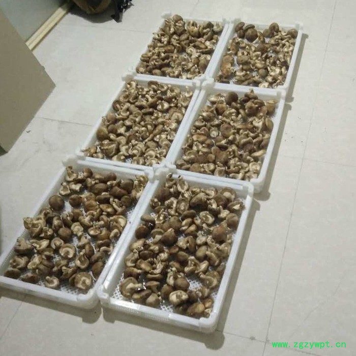 脱水葛根烘干机 空气能热泵烘葛根烘干机 **葛根烘干机 葛根烘干机图5