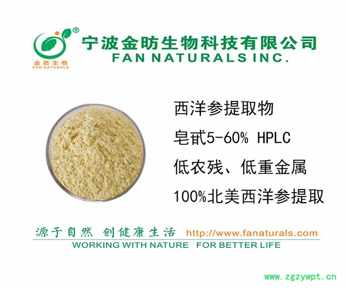 西洋参提取物、西洋参皂甙（GINSENOSIDES ）植物原药材图2