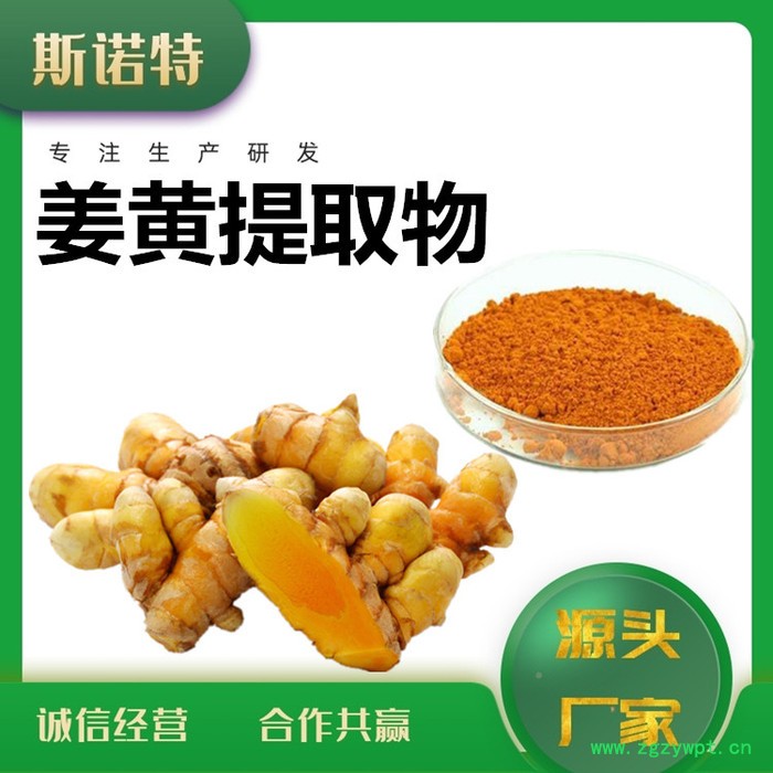 斯诺特 姜黄素 姜黄提取物 厂家供应 包邮图8