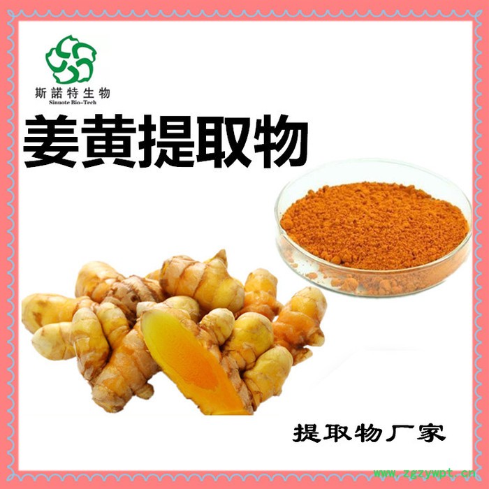 斯诺特 姜黄浸膏粉 姜黄喷雾干燥粉 药食同源 植物提取物图3