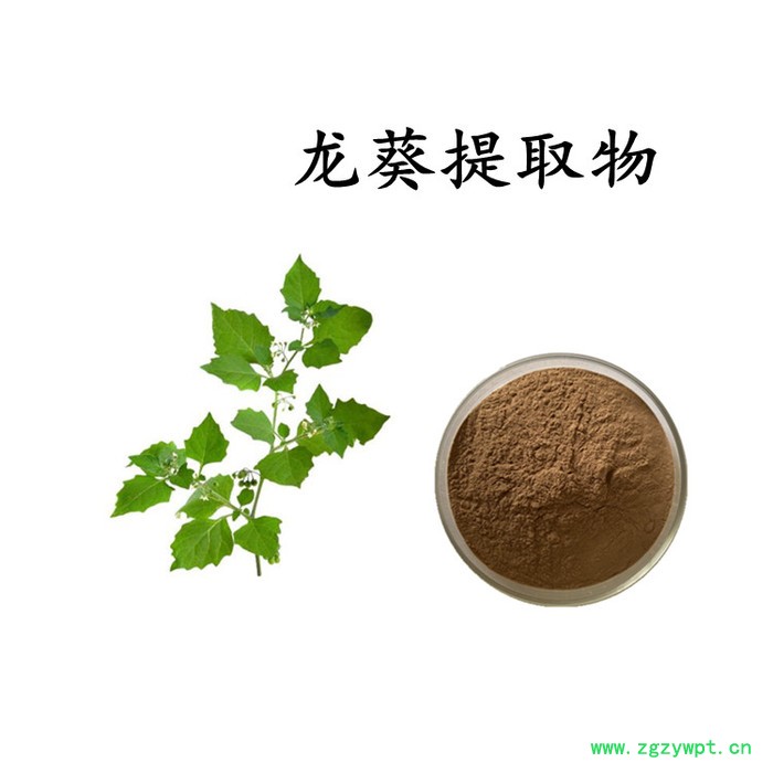 扶风斯诺特 姜黄素95% 姜黄浓缩粉 水溶 可定制图4