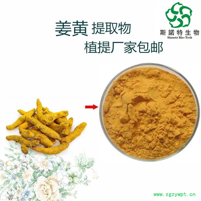 姜黄提取物  植物提取物  斯诺特生物图3