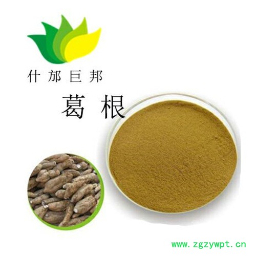 葛根提取物图2
