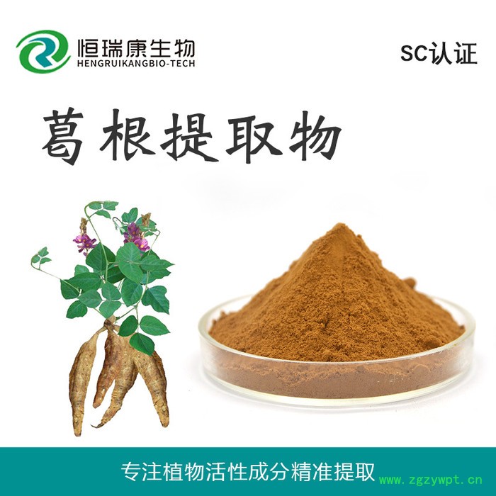 现货供应 葛根黄酮40% 葛根提取物 葛根素 恒瑞康SC工厂 1KG起批图2