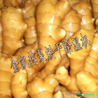 姜黄烘干机/姜片烘干机/沙姜烘干设备/热泵烘干设备直销