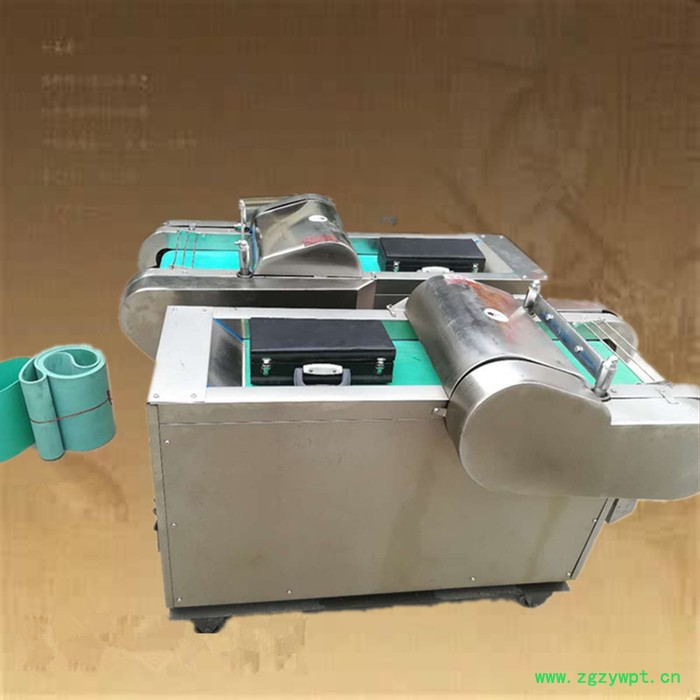 姜黄药材切片机 多功能不锈钢材质酒店食堂切菜机图7