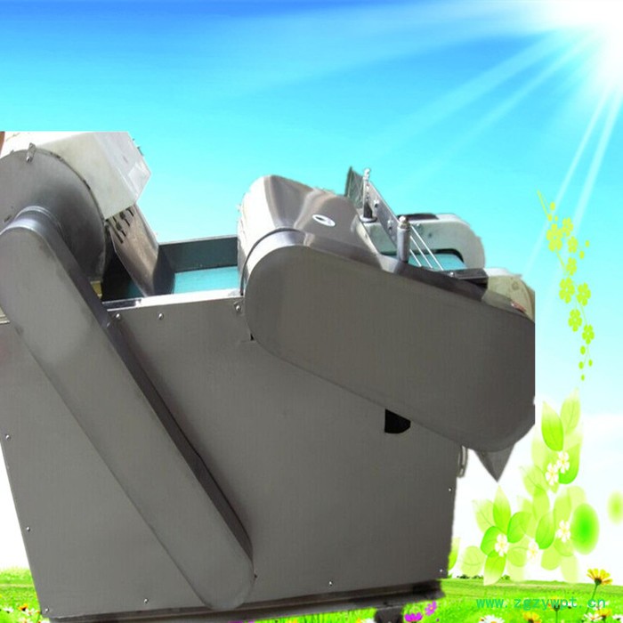 姜黄药材切片机 多功能不锈钢材质酒店食堂切菜机图4